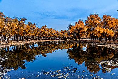 《忍者神龟：崛起》定档11月19日 超能神龟拯救世界 燃爆今冬